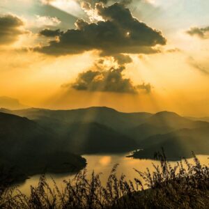 pexels-shafifotumcatcher-2378278