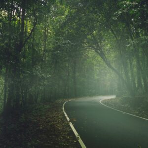 pexels-visual-entity-3633950