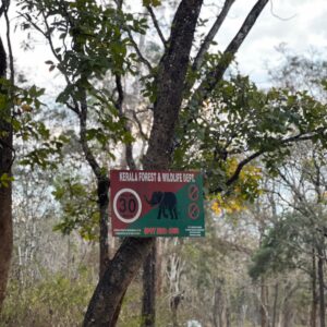 WhatsApp Image 2026-03-27 at 12.08.00 PM