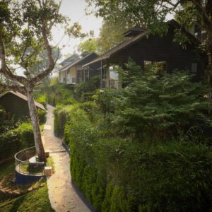 WhatsApp Image 2026-03-27 at 2.10.53 PM