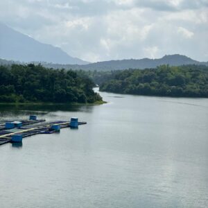 WhatsApp Image 2026-03-27 at 2.38.11 PM